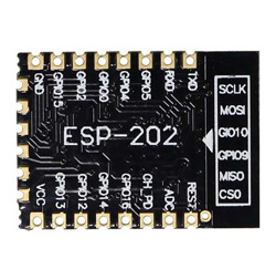 WiFi module ESP8266  ESP-202