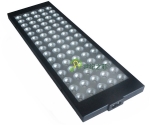  LED  phytolamp for plants, 8 W