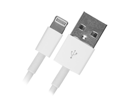 Cable USB 2.0 AM/Apple Lightning 1.0m white