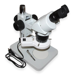 Микроскоп стерео XTL-6024B1 (увеличение х40)